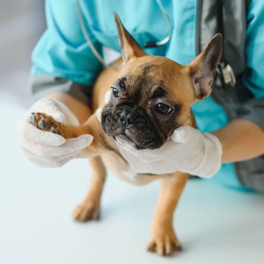 Diseases We Treat