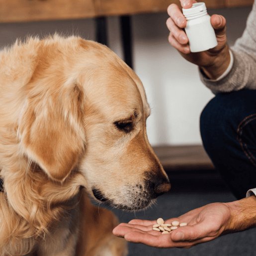 Adjusting Maintenance Drugs