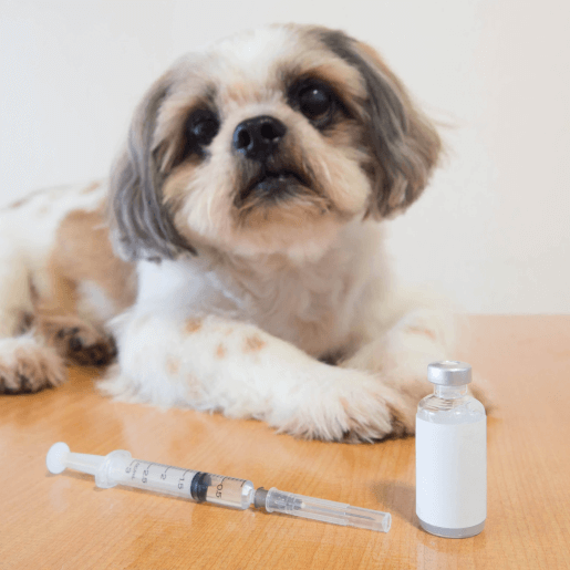 Midazolam