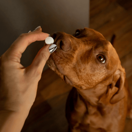 Trazodone